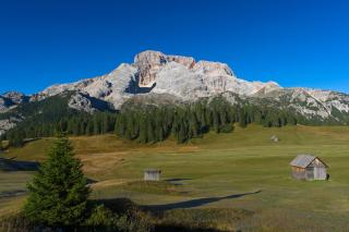 Haus Alpenheim - Braies - 5
