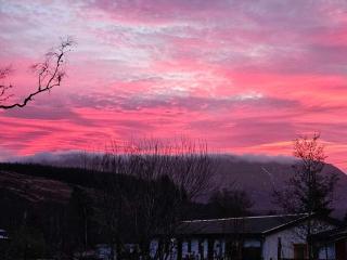 Owl View - Garve - 5