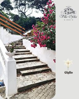 Villa Ofelia - Appartamento Giglio - Chiatona - 5