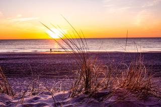 Exclusives Apartment im Herzen von Westerland - Westerland - 3