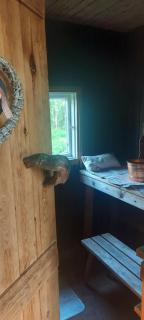 Good Life Homestay - Ahmovaara - 8