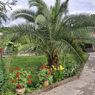 KEMO house - Batumi - 7