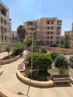 Peacful Room - Female Only - Sheikh Zayed - 8