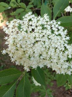 Gospodarstwo Agroturystyczne U Stasików - 7