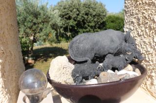 La Bastide des Marcassins - Moissac-Bellevue - 1