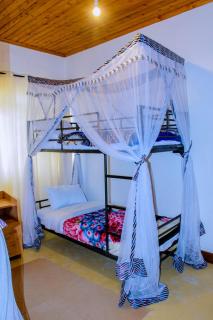 Stay Inn Back Packers - - 1