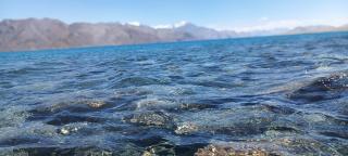 Pangong Destination - 8