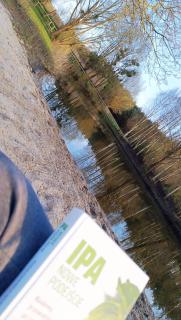 Camping w Lesie -  - 7