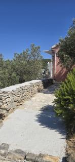 Sunny - Vela Luka - 7