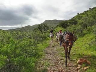 Moonraker Farmstead - 5