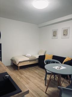 Apartmán Veleslavínova - Ústí nad Labem - 1