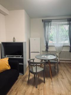 Apartmán Veleslavínova - Ústí nad Labem - 7