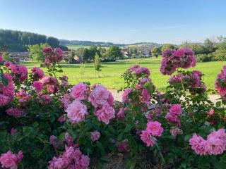 Ferienwohnung Goas-Alm - Waging am See - 5