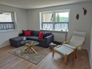 Ferienwohnung Ankerplatz - Schluchsee - 0