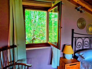 Casa La betulla - - 3