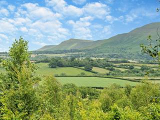 2 Bed in Pengenffordd 94146 - Talgarth - 7