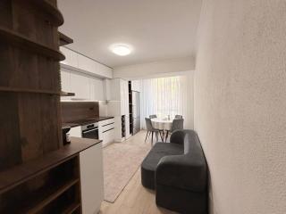 Apartament spațios, 2 dormitoare, confortabil - Chişinău - 6