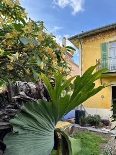 Chez Courbou - 3