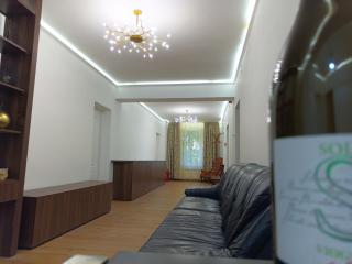 Bliss Point Apartments - Piatra Neamţ - 0