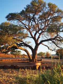 Aubures Camp - 8