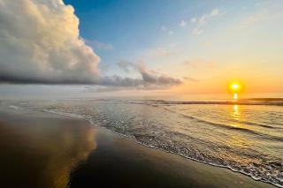 The Sun - Nags Head - 7