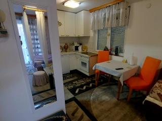 Apartmani GS ***** Zavidovici - 7