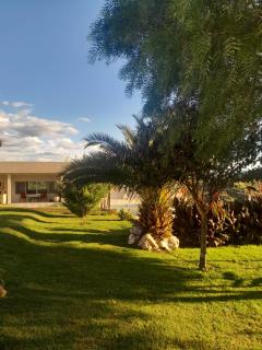 Ayres Serranos - 2