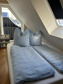 Möwe - a67617 - Zingst - 2