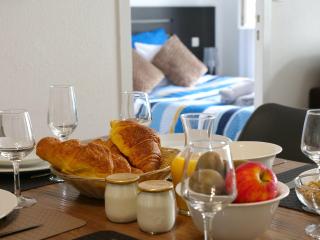 La Blanche Hermine - city center - parking - Vannes - 2