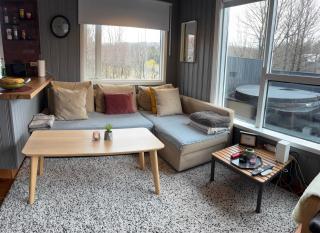 Stargazing Igloo by Eyja Mork with Hot Tub, BBQ and shared kitchen - Stora Mork - 1