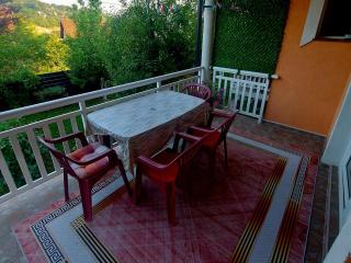 Apartmani GS ***** Zavidovici - 1