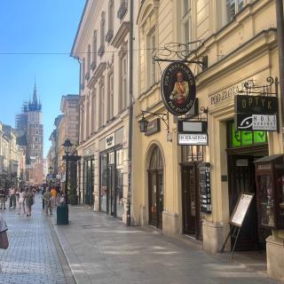 Apartamenty i Studia HERBARIUM - Krakow - 9