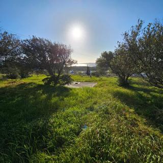 Blue and White View - 4