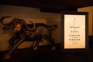 Buffalo Thorn Lodge - Pilanesberg - 7
