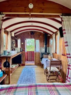 hillgate farm lodges - Gedney Hill - 8