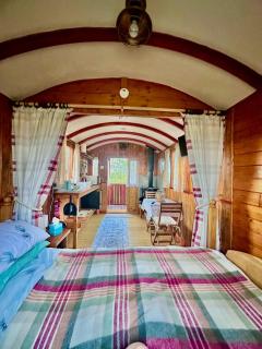 hillgate farm lodges - Gedney Hill - 9