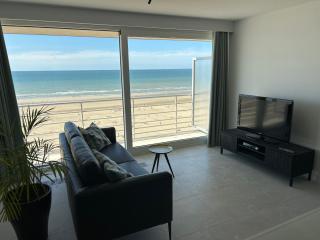 Splendid 8 - Studio - Suite - 45m2 - 4