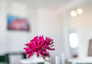 Berlin Central Premium Apartments for Groups - Berlin - 1