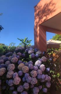 Sonnino B&B - Procida - 9