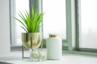 Julias Upscale Airy Getaway 1 BR Golf View - 4