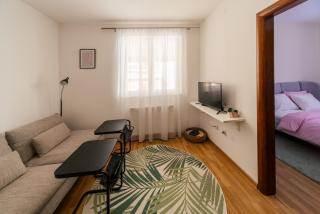 Quince - Kragujevac - 4