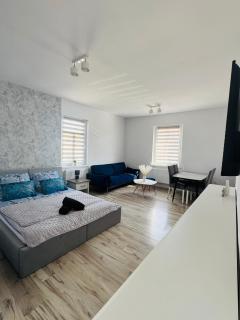 Apartament Zdrój Cieplice - Jelenia Góra - 0