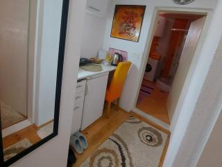 Apartmani GS ***** Zavidovici - 1