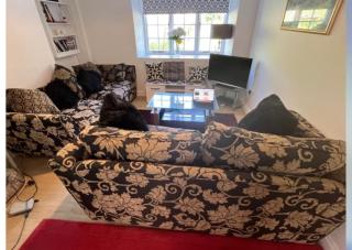 Broadwindsor Cottage - Broadwindsor - 7