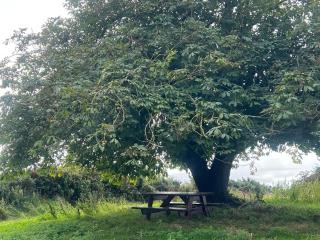 Slieve Gullion Getaways Forkhill - Forkill - 1