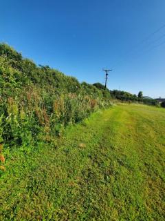 Monroe Horsebox Glamping - Porthleven - 5
