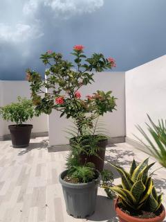 Plataview Apartahotel apt 3A - Monte Plata - 8