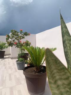 Plataview Apartahotel apt 3A - Monte Plata - 9