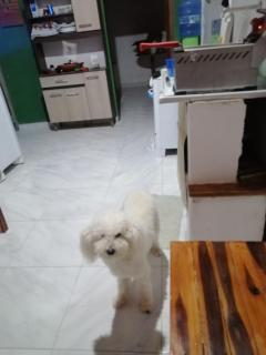 Casa Relax e Tranquillità1 - 3