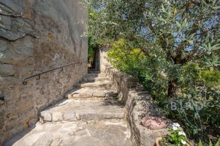Sumptuous Provencal farmhouse at the foot of the village of Fayence - 3
